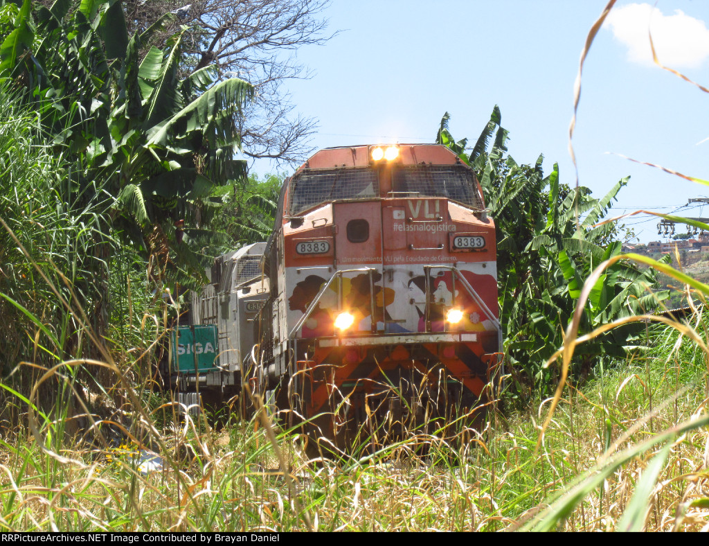 VLI 8383
